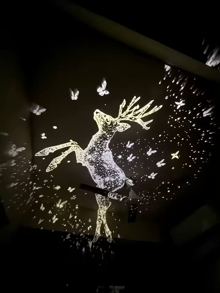 Photo réelle d'un disque CELSIAR projeté au plafond (10/19)